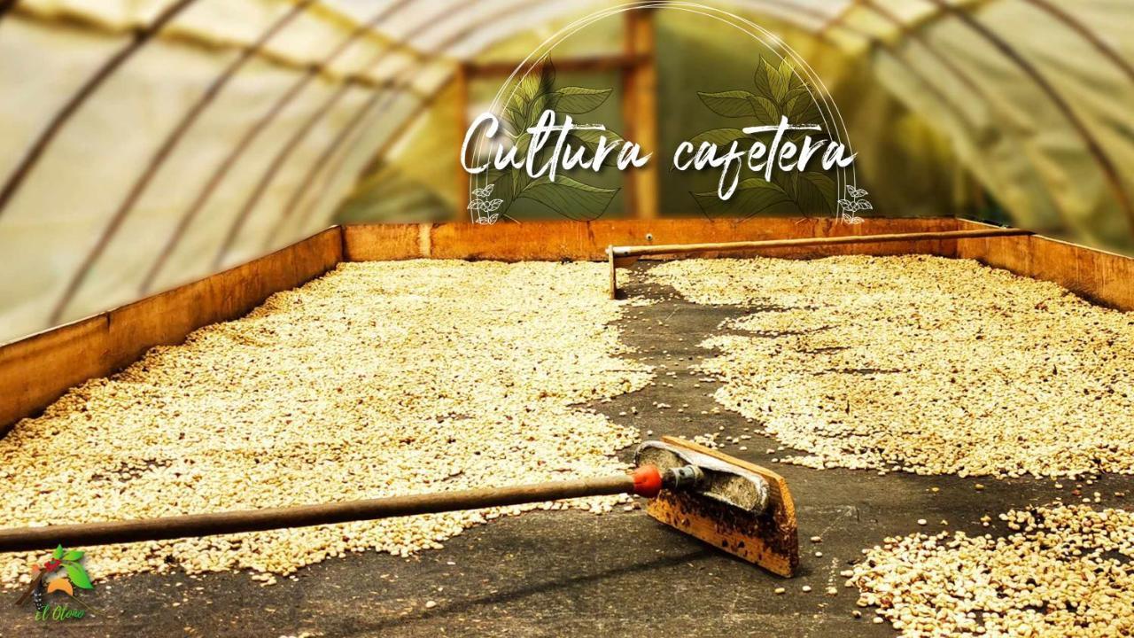 Pijao Finca Tradicional El Otono מראה חיצוני תמונה