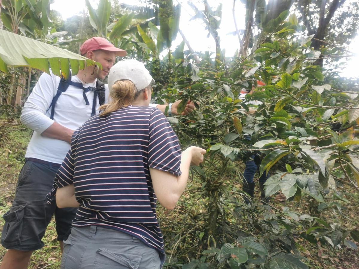 Pijao Finca Tradicional El Otono מראה חיצוני תמונה