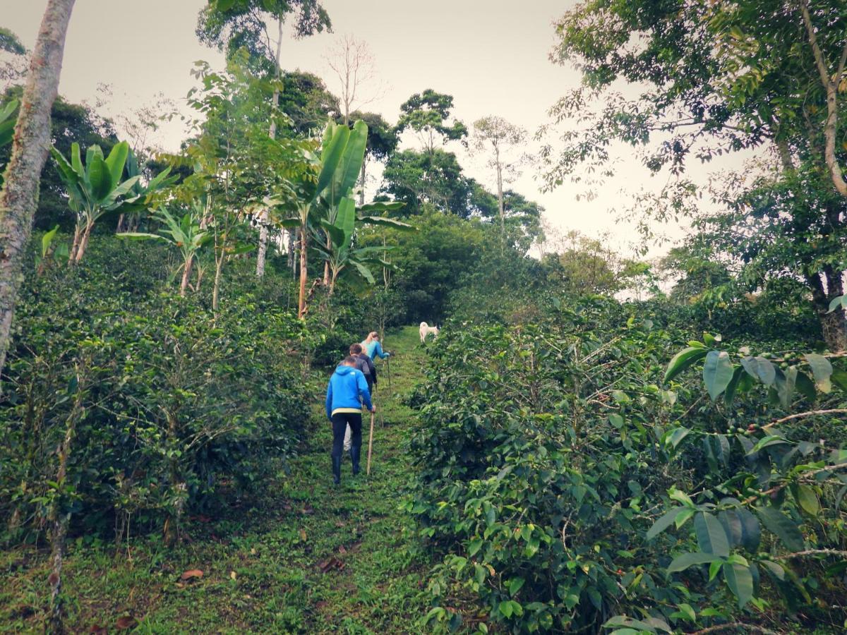 Pijao Finca Tradicional El Otono מראה חיצוני תמונה