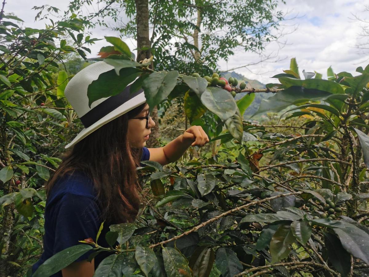 Pijao Finca Tradicional El Otono מראה חיצוני תמונה